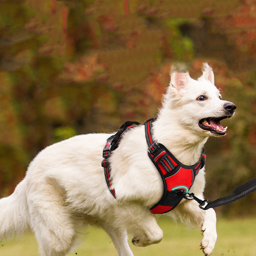 HKM-526739 Adjustable Pet Traction Rope Chest Strap in Black, Red, Green - Available in M, L, XL, XXL