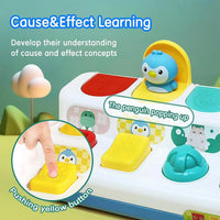 HKM-527187 Interactive Pop-Up Sensory Toy for Babies and Toddlers, Age 0 to 24 Months, 2 to 4 Years