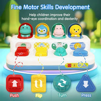HKM-527187 Interactive Pop-Up Sensory Toy for Babies and Toddlers, Age 0 to 24 Months, 2 to 4 Years