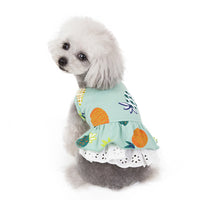 HKM-529299 Soft Coral Velvet Skirt for Female Dogs - Cute Spring & Summer Pet Apparel
