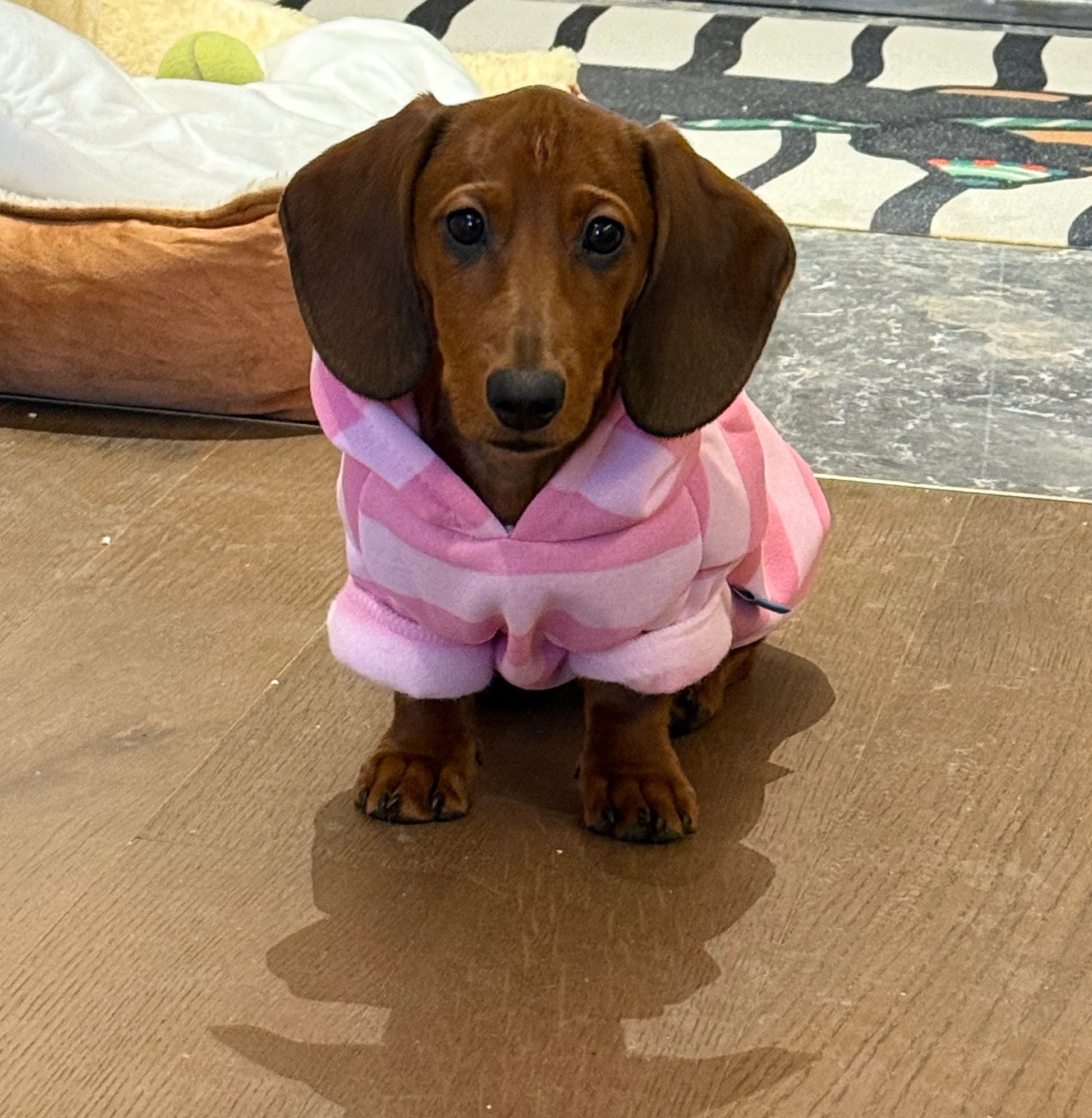 HKM-529491 Cozy Pink Striped Hooded Sweater for Pets - Autumn and Winter Wear
