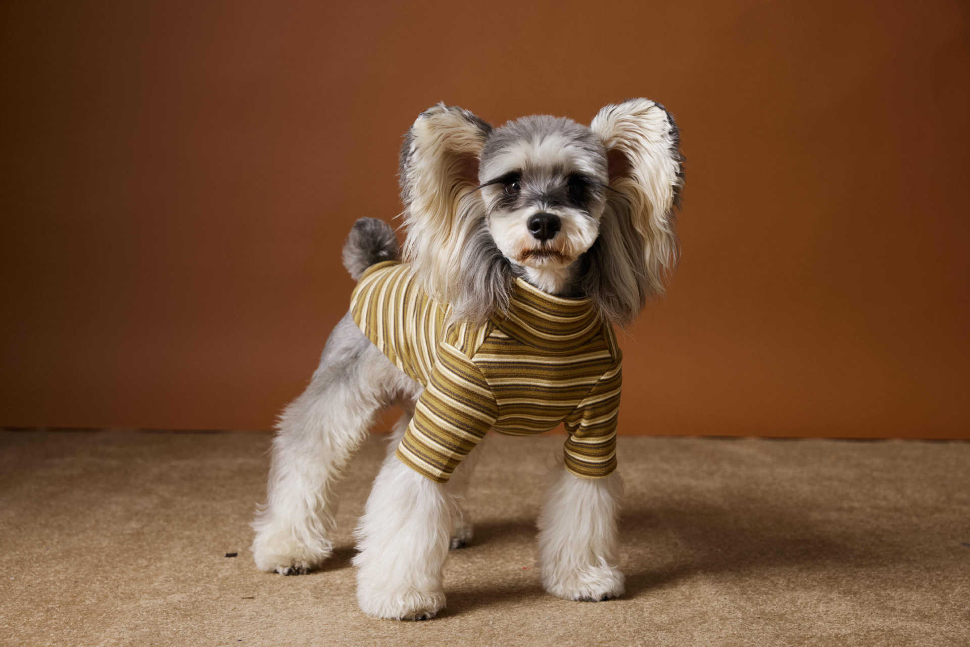 HKM-530003 Skin-Friendly Close-Fitting Dog Undershirt for Maltese & Schnauzer - Dark Blue, Brown, or Red Stripes