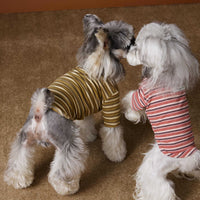 HKM-530003 Skin-Friendly Close-Fitting Dog Undershirt for Maltese & Schnauzer - Dark Blue, Brown, or Red Stripes