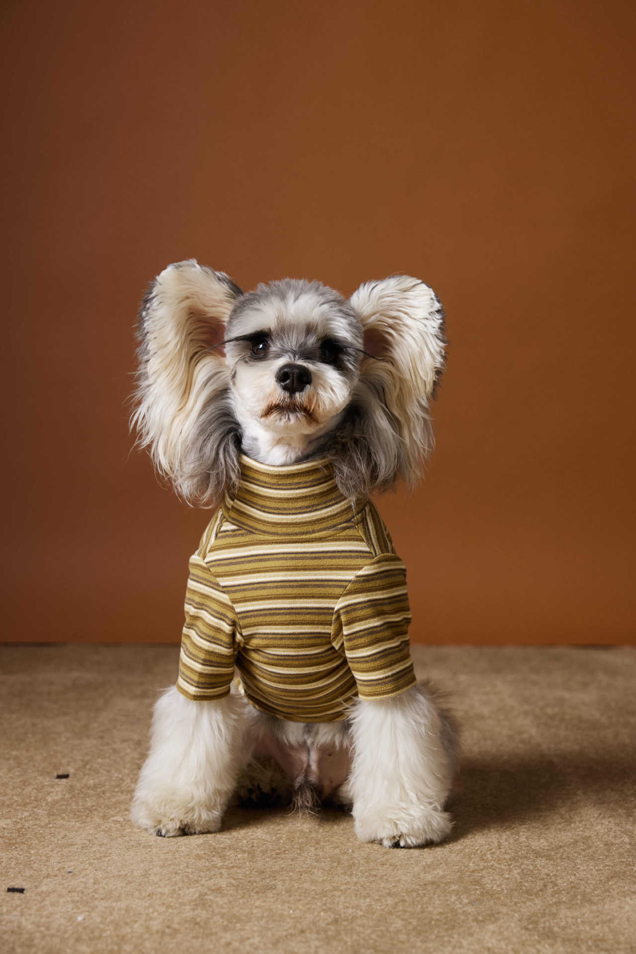 HKM-530003 Skin-Friendly Close-Fitting Dog Undershirt for Maltese & Schnauzer - Dark Blue, Brown, or Red Stripes