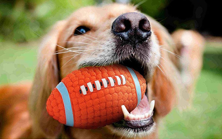 HKM-530451 Dog Toy Bite-Resistant Teeth Cleaning Latex Toy Ball