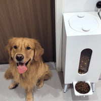 HKM-532819 Wooden Pet Feeder with Adjustable Height for Dogs and Cats - Large Capacity Bowls