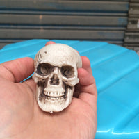 HKM-533267 Mini Plastic Skull Decoration Prop for Haunted House and Secret Room, 5cm Size