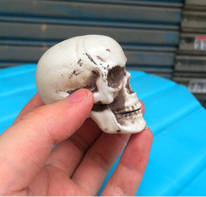 HKM-533267 Mini Plastic Skull Decoration Prop for Haunted House and Secret Room, 5cm Size