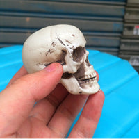 HKM-533267 Mini Plastic Skull Decoration Prop for Haunted House and Secret Room, 5cm Size