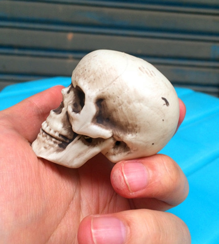 HKM-533267 Mini Plastic Skull Decoration Prop for Haunted House and Secret Room, 5cm Size