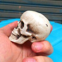 HKM-533267 Mini Plastic Skull Decoration Prop for Haunted House and Secret Room, 5cm Size