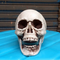 HKM-533267 Mini Plastic Skull Decoration Prop for Haunted House and Secret Room, 5cm Size