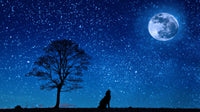 HKM-534995 Wolf Moon European Style Polyester Tapestry for Home Décor