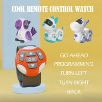 HKM-536019 Intelligent Remote Control Parrot Robot Toy for Kids with Line Following Feature