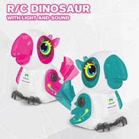 HKM-536019 Intelligent Remote Control Parrot Robot Toy for Kids with Line Following Feature