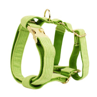 HKM-536787 Velvet Fabric Adjustable Dog Collar with Leash, Bow, Flower, Vest, and Poop Bag