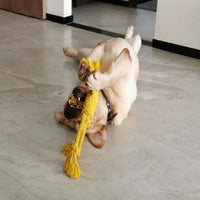 HKM-537043 Cotton Rope Dog Chew Toy for Molar Health - Tear-Resistant, 14CM Ring Diameter, 50CM Total Length, 400G
