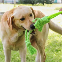 HKM-537043 Cotton Rope Dog Chew Toy for Molar Health - Tear-Resistant, 14CM Ring Diameter, 50CM Total Length, 400G