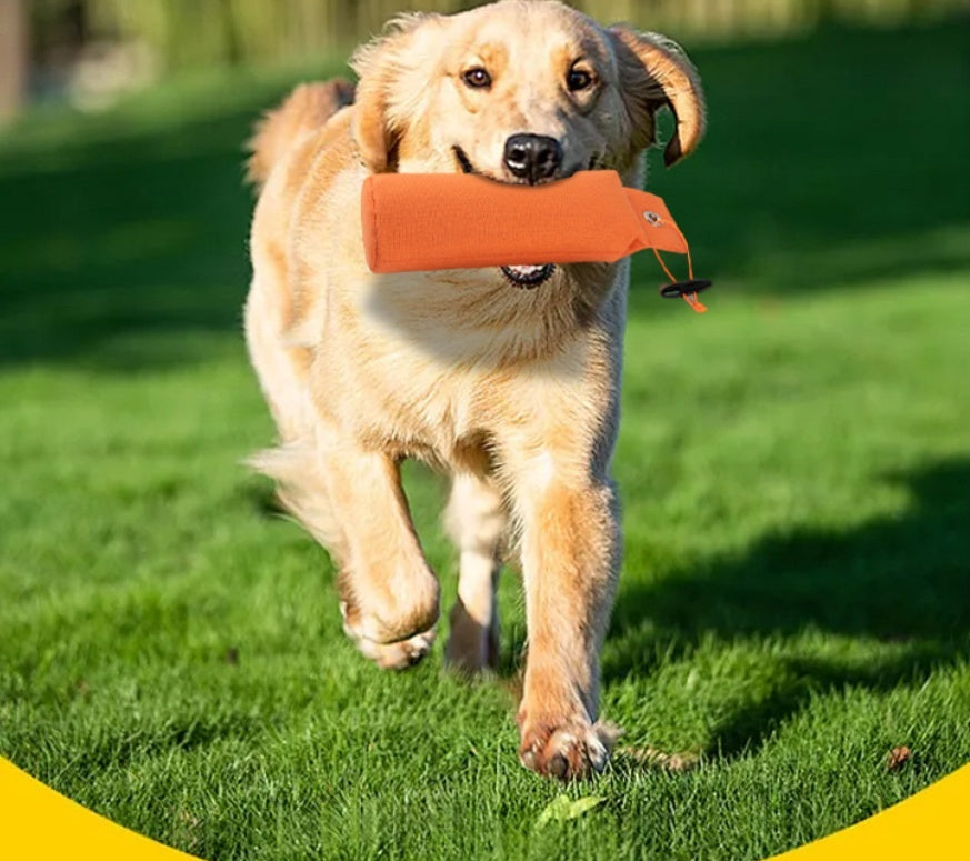 HKM-538195 Fashion Personalized Decompression Dog Toy Supplies