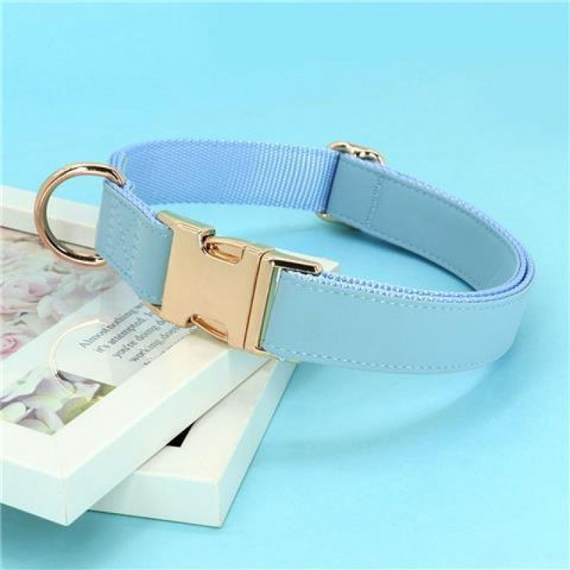 HKM-540243 Cute Gold Collar Dog Tag - Anti-Loss Feature, Available in Chocolate, Red, Blue, and Silver