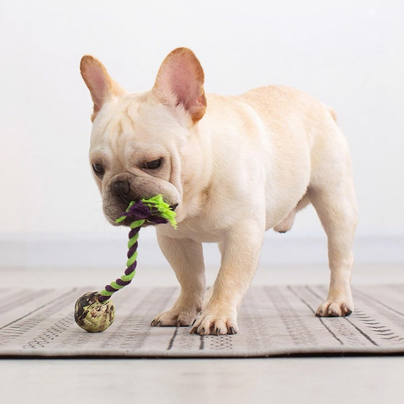 HKM-540499 Ball Knot Dog Toys, Interactive Puppy Toys For Tug-of-war, Eco-friendly Cotton Rope Toys, Medium And Small-sized Dog Breeds, Not Suitable For Dogs With Strong Aggressive Chewing