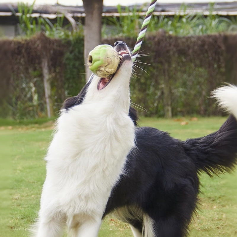 HKM-540499 Ball Knot Dog Toys, Interactive Puppy Toys For Tug-of-war, Eco-friendly Cotton Rope Toys, Medium And Small-sized Dog Breeds, Not Suitable For Dogs With Strong Aggressive Chewing
