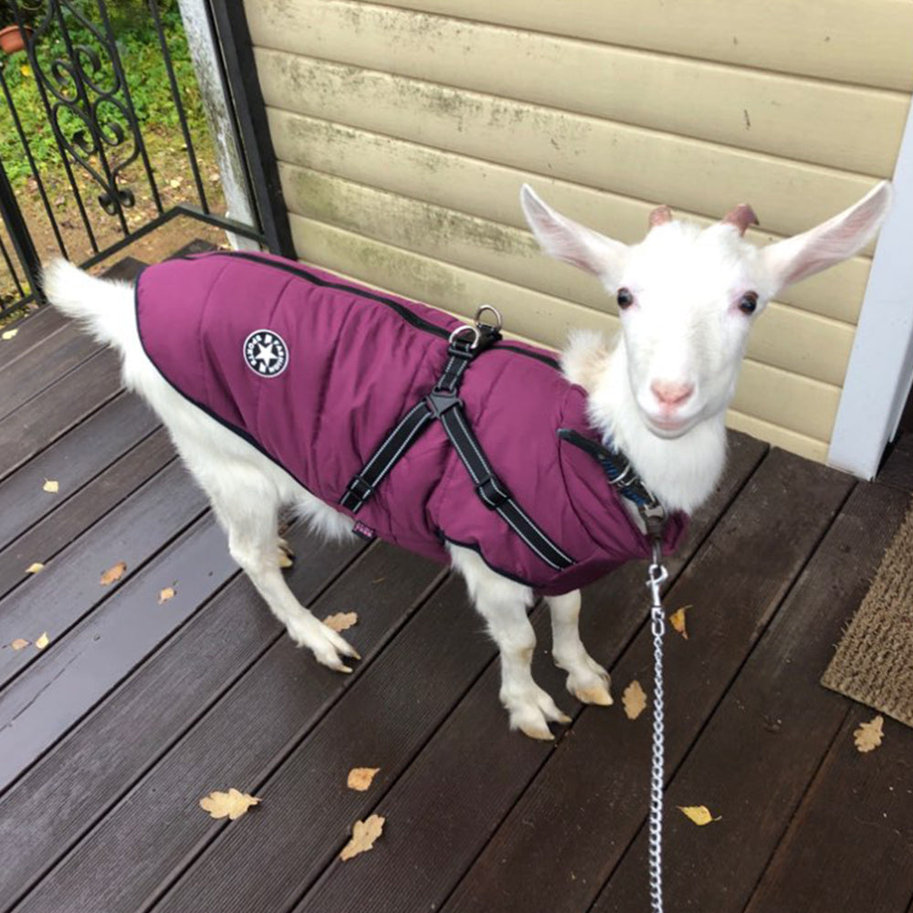 HKM-541715 Waterproof Winter Dog Coat with Harness for Large Breeds and Small Dogs