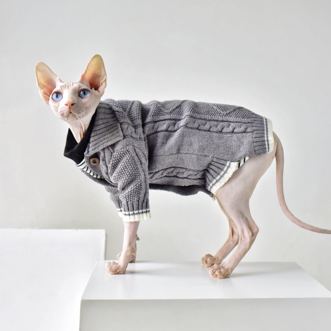HKM-541779 Warm Space Gray Cardigan Sweater for Hairless Cats - Size XXL
