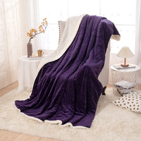 HKM-542355 Thick Double Layer Flannel Blanket – Soft Polyester Fiber for All Seasons in Multiple Solid Colors