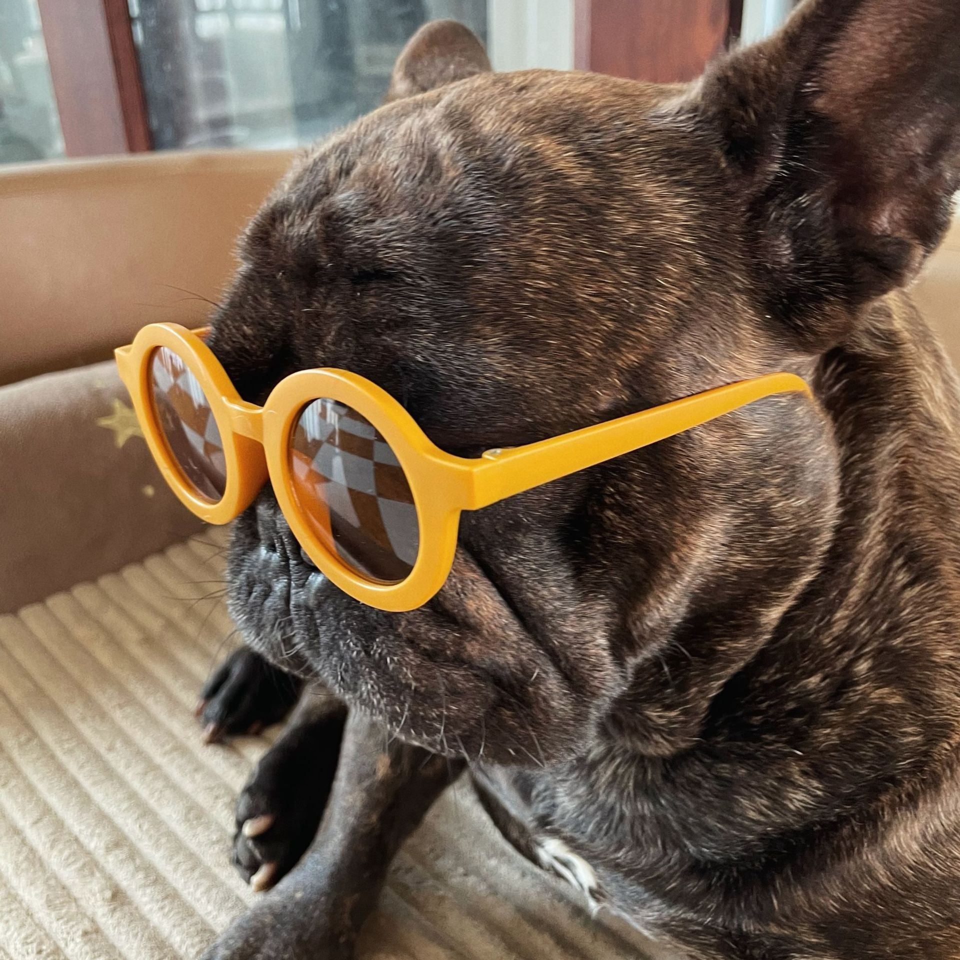 HKM-544019 Round Frame Pet Sunglasses for Medium and Large Dogs - Various Colors Available