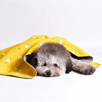 HKM-544147 Cozy Double-sided Cotton Wool Pet Blanket in Multiple Fun Designs