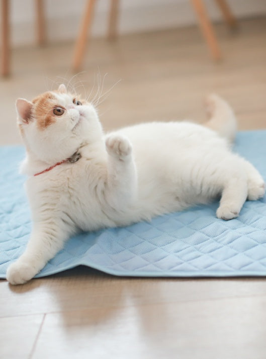 HKM-544275 Cooling Pet Ice Silk Pad - Breathable, Quick-Drying Cushion for Dogs and Cats in Various Sizes