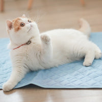 HKM-544275 Cooling Pet Ice Silk Pad - Breathable, Quick-Drying Cushion for Dogs and Cats in Various Sizes