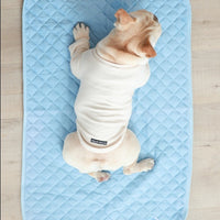 HKM-544275 Cooling Pet Ice Silk Pad - Breathable, Quick-Drying Cushion for Dogs and Cats in Various Sizes
