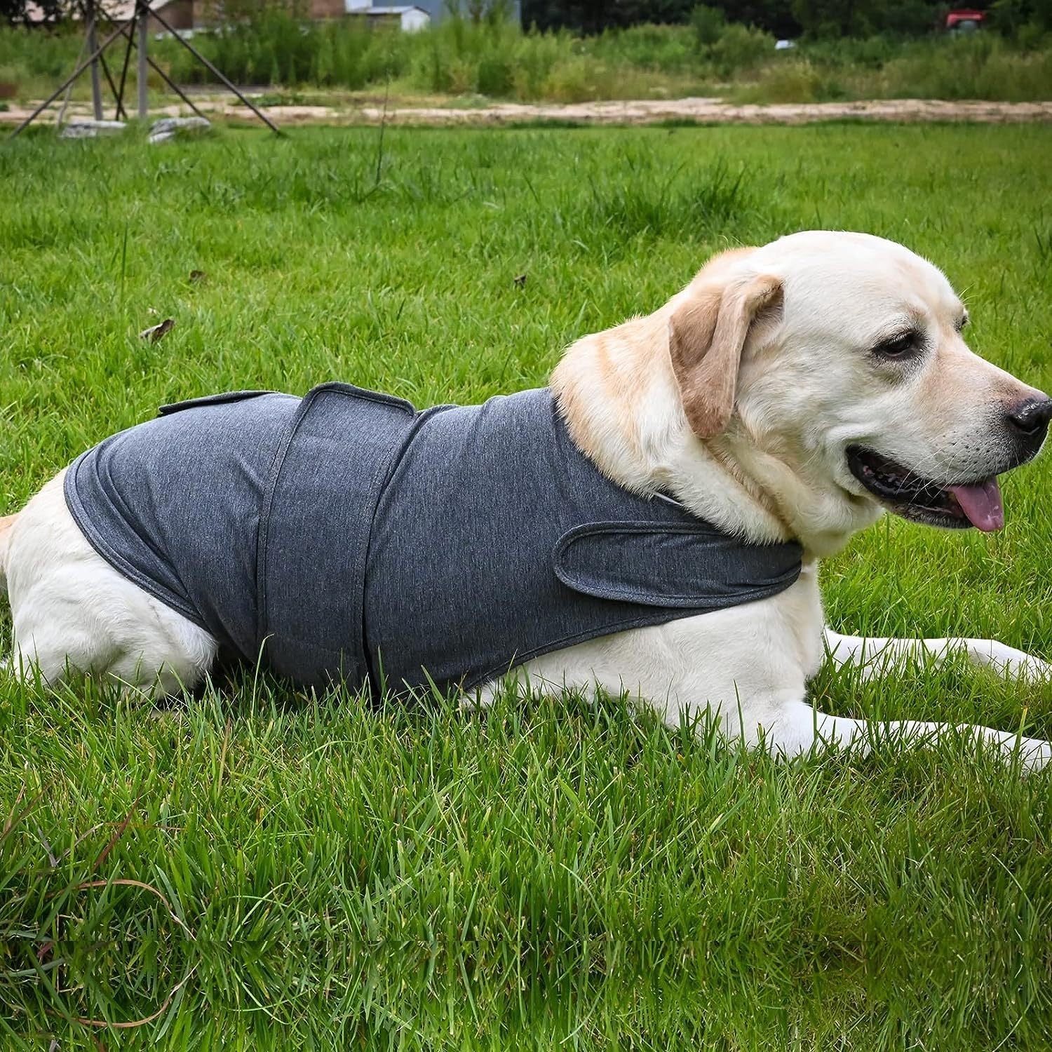 HKM-544531 Breathable Thunder Vest for Dogs - Classic Anxiety Jacket for Stress Relief