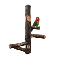 HKM-544595 Apple Wood Parrot Stand Toy – Stylish and Simple Bird Perch with Easy Assembly