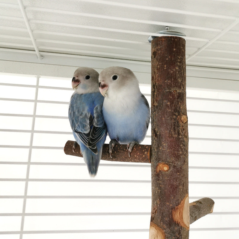 HKM-544595 Apple Wood Parrot Stand Toy – Stylish and Simple Bird Perch with Easy Assembly