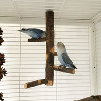 HKM-544595 Apple Wood Parrot Stand Toy – Stylish and Simple Bird Perch with Easy Assembly