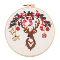 HKM-545491 Cartoon/Anime Fabric Embroidery Kit for Beginners - Cotton Cloth with 30x30 Canvas and Embroidery Frame