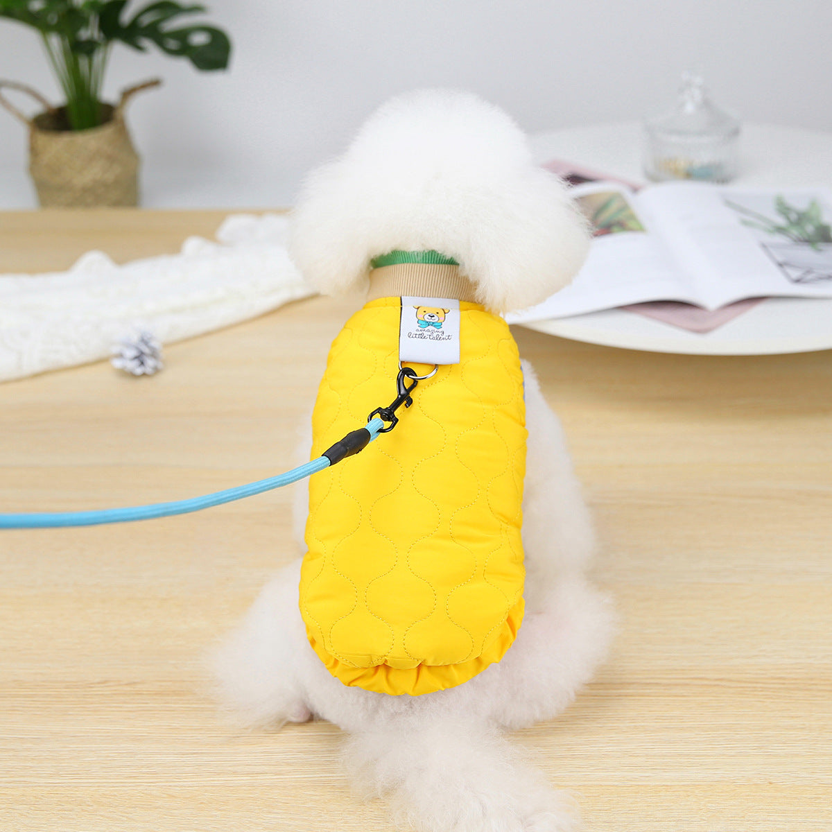 HKM-547411 Velvet Pet Vest for Dogs – Stylish and Warm Fall & Winter Clothing