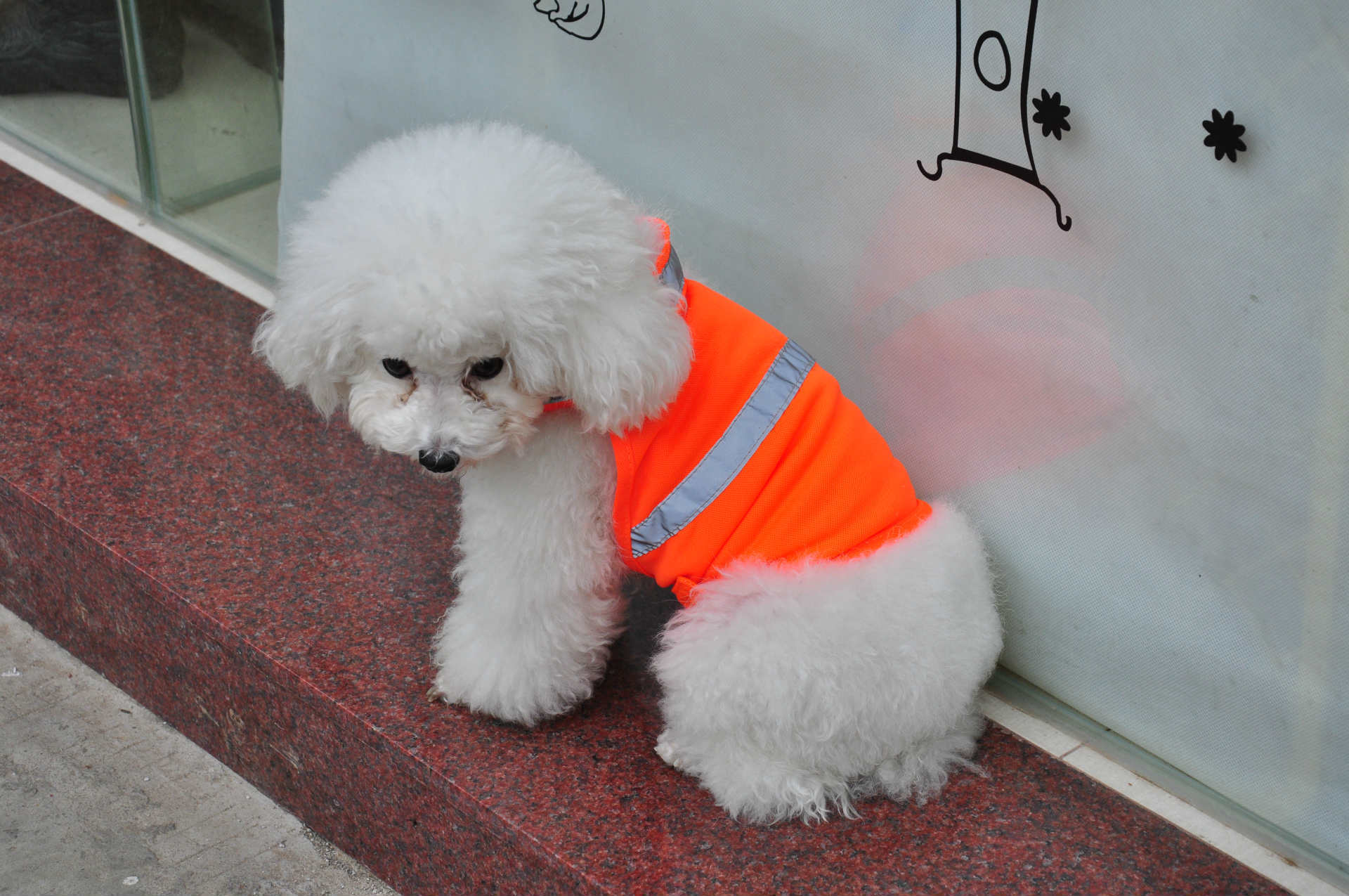 HKM-547603 Reflective Safety Vest for Dogs - Fluorescent Yellow/Orange, Available in S, M, L