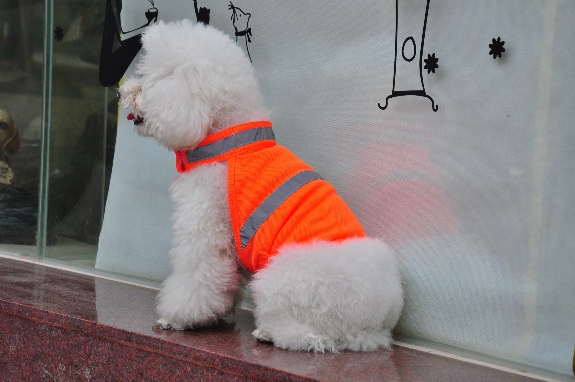 HKM-547603 Reflective Safety Vest for Dogs - Fluorescent Yellow/Orange, Available in S, M, L