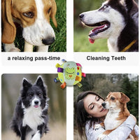 HKM-547987 Interactive Pet Toy with Built-in Chimes and Squeaky Balls for Engaging Playtime