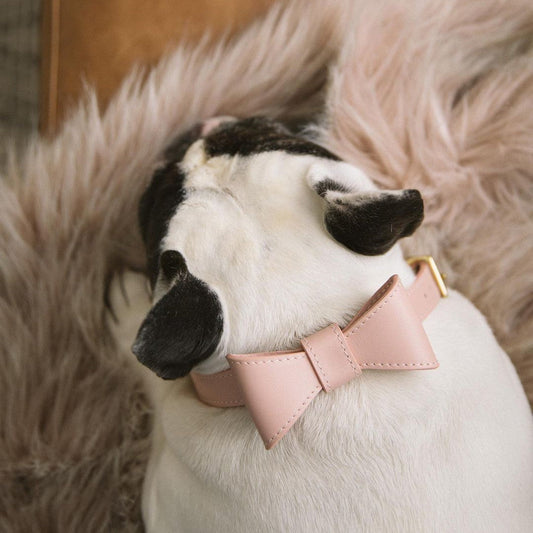 HKM-548307 Adorable Solid Color Bow Collar and Leash Set for Pets - Available in Blue and Pink