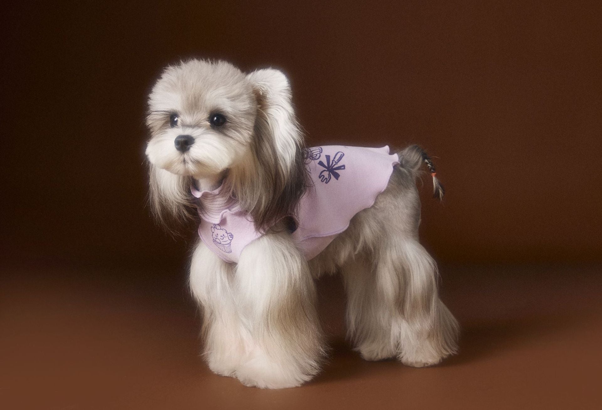 HKM-548435 Double-Sided Striped Lace Sleeveless Tank Top for Pets in Purple, Green, Beige - Casual Style, Various Sizes Available