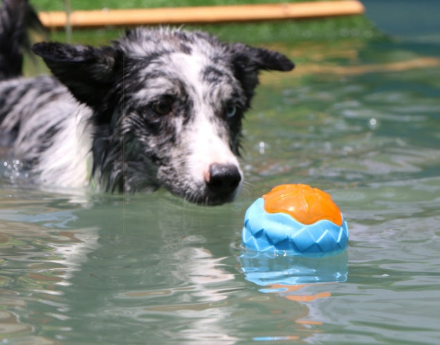HKM-548563 Dog Toy Ball Audible Glow Can Float Grinding Teeth Pets Toy