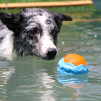 HKM-548563 Dog Toy Ball Audible Glow Can Float Grinding Teeth Pets Toy