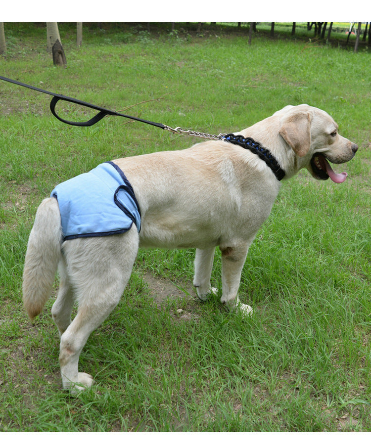 HKM-549779 Casual Cotton Velcro Pants for Pets - Available in Pink, Black, Blue, Purple (Sizes XS-XL)