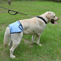 HKM-549779 Casual Cotton Velcro Pants for Pets - Available in Pink, Black, Blue, Purple (Sizes XS-XL)