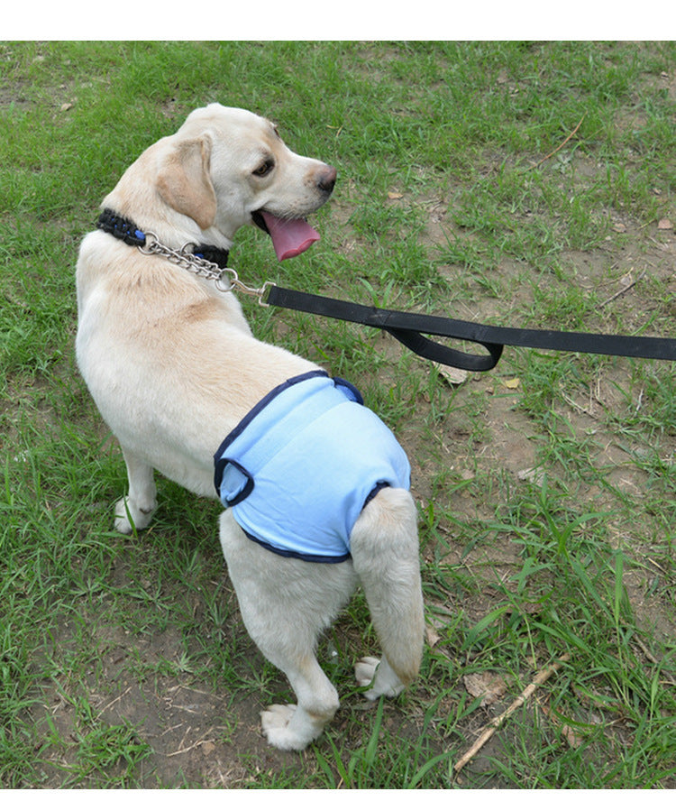 HKM-549779 Casual Cotton Velcro Pants for Pets - Available in Pink, Black, Blue, Purple (Sizes XS-XL)